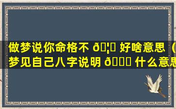 做梦说你命格不 🦆 好啥意思（梦见自己八字说明 🐅 什么意思）